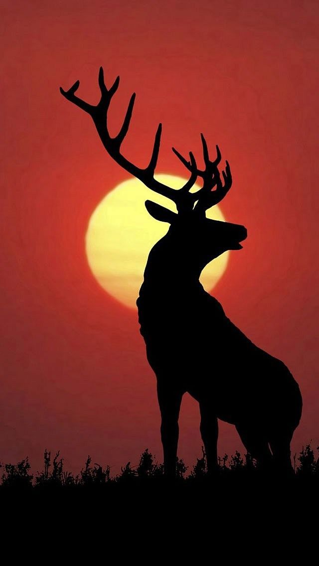 Sunset Deer Silhouet...