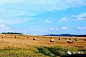 巴伐利亚的农场-道纪景观-微头条(wtoutiao.com)