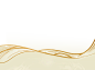 摇光录：乱世公主