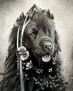 针管笔画的魅力，喜欢黑白插画的赶紧收藏