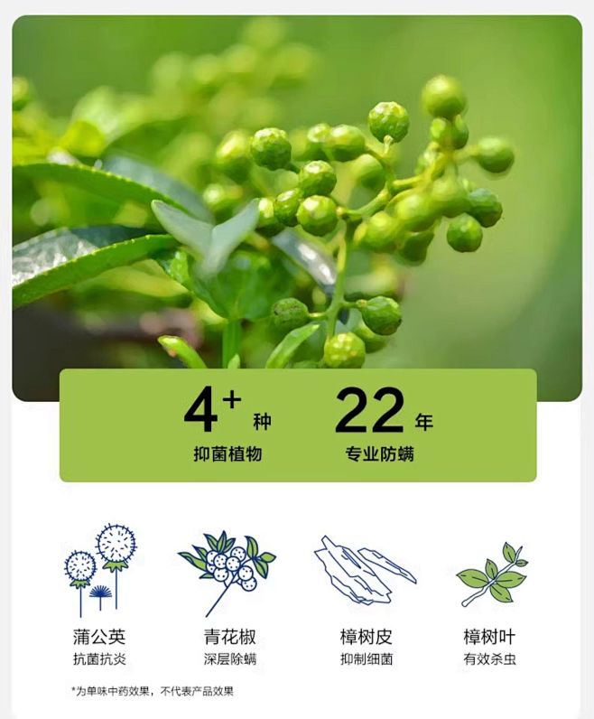 【成毅同款】有棵树植物停螨衣情侣睡衣女纯...