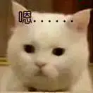 白的🍙