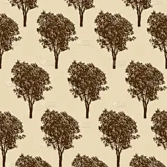 式样,纹理,农业,纺织品,环境,壁纸,植物群,公园,春天,树