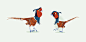 Pigeon Game : Concept design for a game based around pigeons
