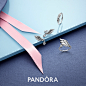 PANDORA潘多拉珠宝的照片 - 微相册
