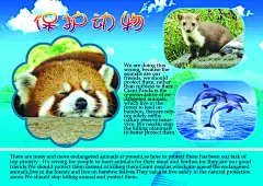 保护动物海报