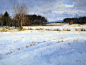 冬天雪地风景油画图片下载(图片ID:413302)_-书画文字-图片素材_ 聚图网 JUIMG.COM