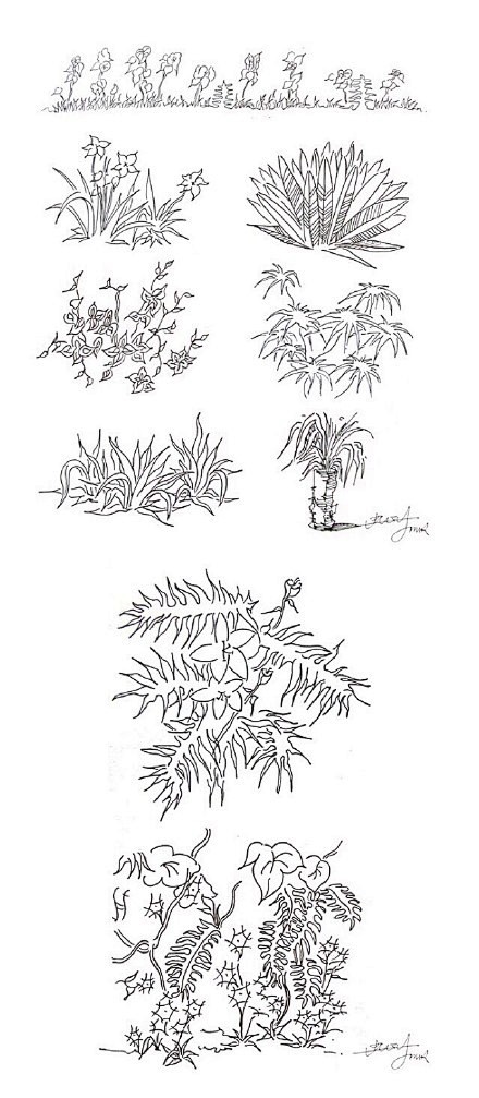 【一学就会，植物手绘速写20种技法】在最...