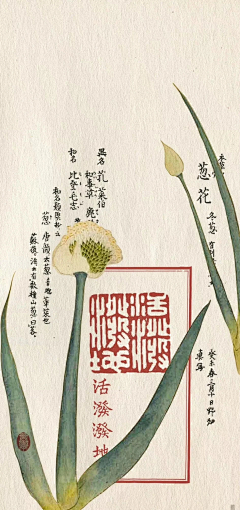 ^__^米几采集到古风