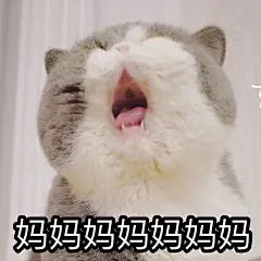 表情包/缺钱