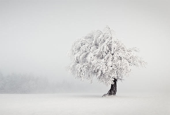 美妙的冬季摄影欣赏 