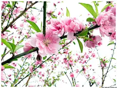 手机端、无线端首页、手机端首页、手机APP首页、淘宝手机端首页、天猫手机端首页、男装手机端首页、女装手机端首页、食品手机端首页、饰品手机端首页、童装手机端首页、母婴手机端首页、电器手机端首页、箱包手机端首页、鞋子手机端首页 无线钻石展位，首焦资源位，创意海报设计，手机端海报，无线钻展，淘宝APP，天猫APP，首焦海报，天猫京东电商活动轮播海报平面设计 男女装 家电数码 电器建材 母婴玩具 箱包女鞋 珠宝首饰 美妆 化妆护肤品 食品 茶 酒 电脑办公
家居背景、家居海报背景、海报背景、家居场景、家装背景、家