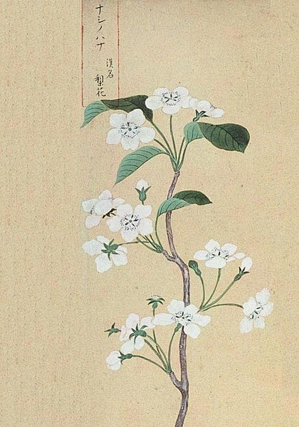 使东川·江花落