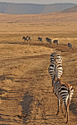 breathtakingdestinations:

Ngorongoro Conservation Area - Tanzania (von Harshil.Shah)