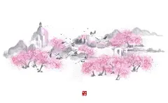 来自分享
