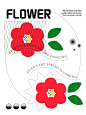 海报设计l 关于花花 : ✨ 最近好喜欢花花草草 ✨ 尝试了不同的花花表现方式