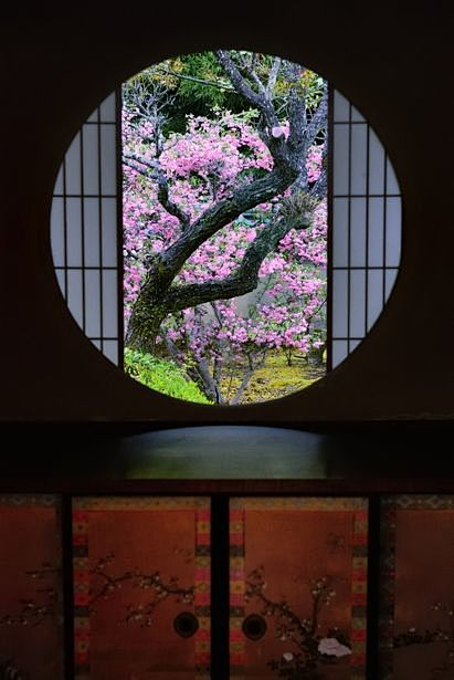 启蒙于云龙，在寺庙，京都，日本的窗口