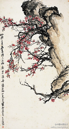 赵珺2012采集到微博画报