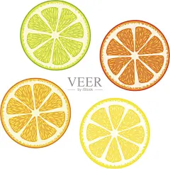 五颜六色的柑橘类水果插画图片素材