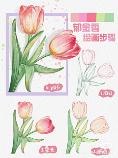 珠古力采集到手绘