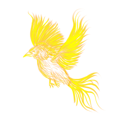 Ennuyeu采集到动物/边框/漂浮/古风/PNG/素材