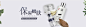 banner 电商 化妆品