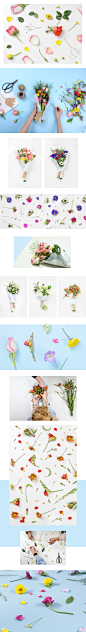 Flower Shop Photoshoot : A photo shoot including styling and creative direction for a flower shop template. We designed and created the images according to the template’s vision - producing images for both the bouquets as well the flowers. Photography: Al