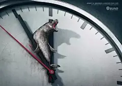 50张万箭穿心的宣传海报！看完，我沉默了……_搜狐宠物_搜狐网