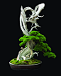 真柏盆栽：Shimpaku-bonsai