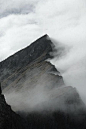 mountain mist: 