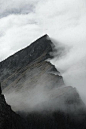 mountain mist: