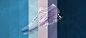 0504 SU17 RN P3 VaporMax.jpg