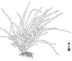 Eleven_ya采集到植物线稿