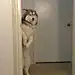 相遇在初见时