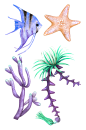 海草