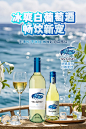 蓝海MID海报2