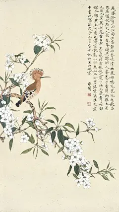 于非闇 秋梨戴勝 saved by oldsum