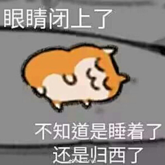 苏轼6采集到1