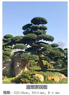 Kano·川页采集到A-3植物种单体