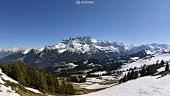 冬季雪景动态壁纸下载-冬季雪景高清动态壁纸 - 未来Mac下载