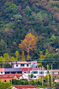 DSC_4396(1)