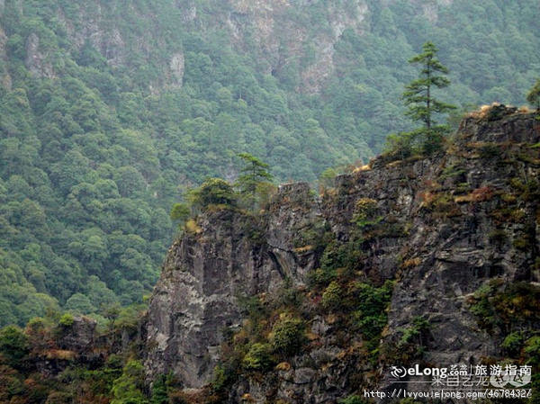 井冈山风景（图）