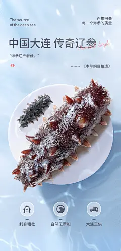 【久年久年海参】久年 大连底播淡干海参干货 甄品辽刺参 海鲜生鲜水产7S 500g 90-120头家庭礼盒装 年货礼品【行情 报价 价格 评测】-京东