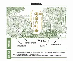 【 版画风格 】海南大叶茶外包装设计 - 小红书