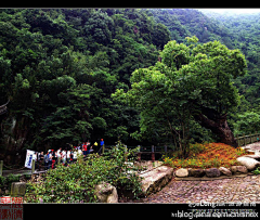 fstao采集到浙北大峡谷山野行【清