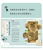 包邮 中华手工少年杂志 2024年1月起订 1年共6期 杂志铺全年订阅 中国传统文化传统技艺历史文化 青少年文学素养提升课外阅读期刊-tmall.com天猫
