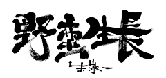 喵小喵、采集到x 字体 x