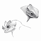 tiny dragon sketches