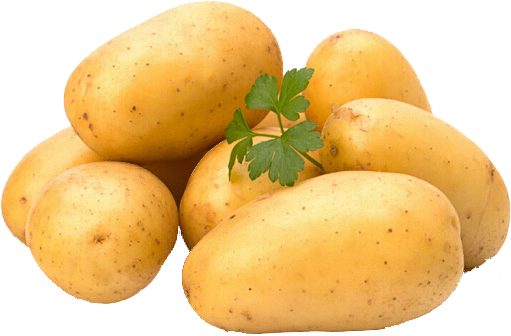 土豆png