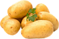 土豆png